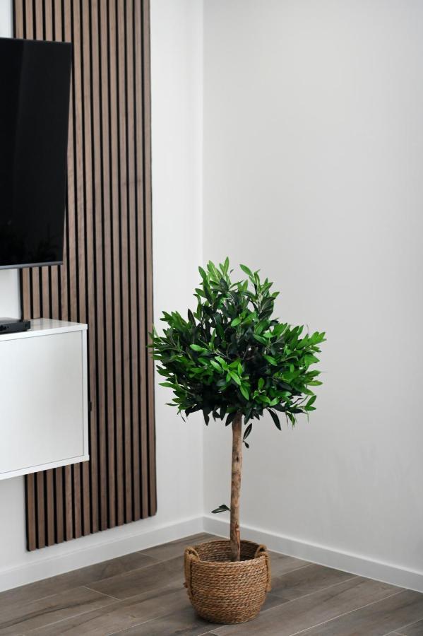 Aura Exclusive Apartment & Room 扎达尔 外观 照片